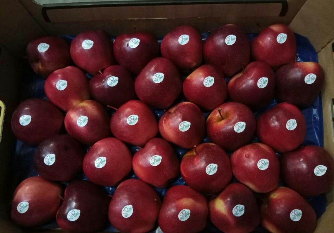 Äpfel from Georgien